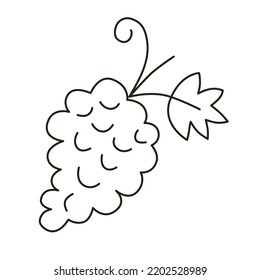Hand drawn doodle grapes icon, linear fruit drawing of bunch of grapes, vector doodle illustration, isolated outline clipart on white background, healthy organic fruits