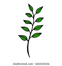 Hand drawn doodle green branches.
Vector illustration of a flower. Sketch
element for graphic and web design.
