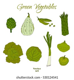 Hand drawn doodle green vegetables icons isolated set. Vector illustration. Fresh organic eco food. Cabbage, asparagus, onion, peas, squash, artichoke.