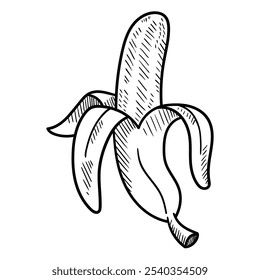 Dibujado a mano doodle medio plátano pelado aislado sobre fondo blanco. Ilustración vectorial.