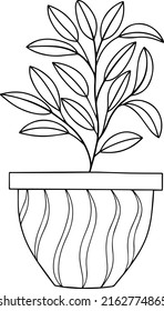 Hand drawn doodle. Houseplant vector. Interior plant in pot.