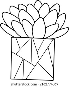 Hand drawn doodle. Houseplant vector. Interior plant in pot.