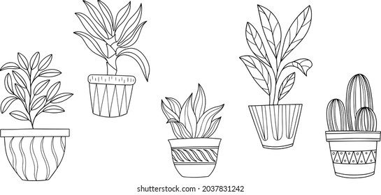 Hand drawn doodle. Houseplants collection. Vector interior plants in pots. Vector illustration set