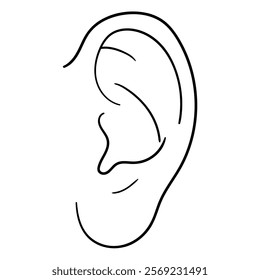 Hand drawn doodle human ear isolated on a white background. Vector illustration.