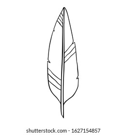 Hand drawn doodle illustration of a feather.