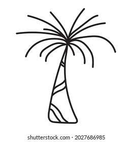 Hand drawn doodle illustration. palm tree. 