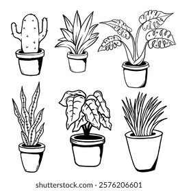 Hand drawn doodle illustration of potted plants, can be used for decoration