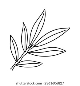 Hand drawn doodle illustrations of olive branches isolated on a white background.