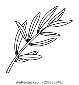 Hand drawn doodle illustrations of olive branches isolated on a white background.