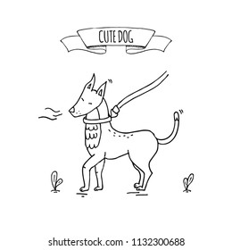 Hand drawn doodle image of cute dog on a leash sniffing tree icon Vector illustration set. Cartoon normal everyday home pets activities symbol. Sketchy curious puppy walk