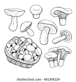 Hand drawn doodle ink mushrooms with wicker basket sketch set.