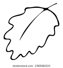 Hand drawn doodle leaf. Black sketch isolated on white background