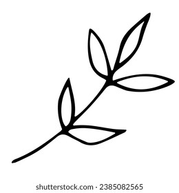 Hand drawn doodle leaf. Black sketch isolated on white background