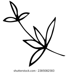 Hand drawn doodle leaf. Black sketch isolated on white background