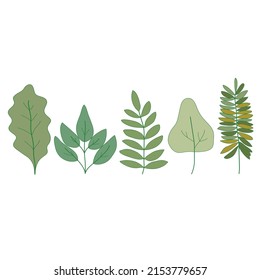 Hand drawn doodle leaf collection set on white background