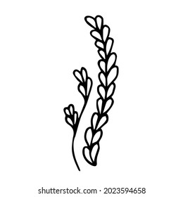 Handgezeichnetes Doodle-Blatt für Design.