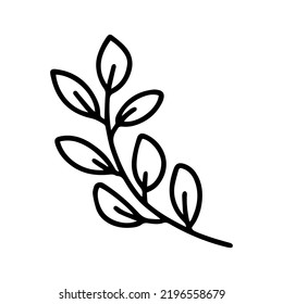 Hand drawn doodle leaf illustration. Vector doodle branch with leaves isolated
