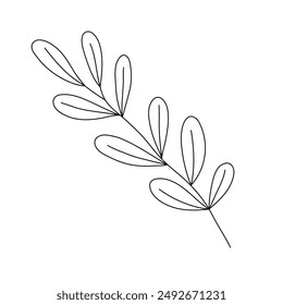 Hand drawn doodle leaf isolated on white background. Simple doodle style.