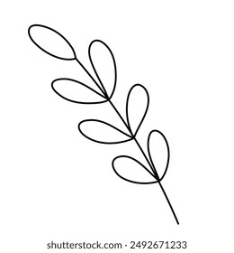 Hand drawn doodle leaf isolated on white background. Simple doodle style.