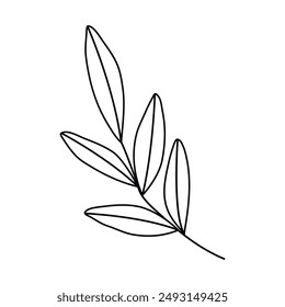 Hand drawn doodle leaf isolated on white background. Simple doodle style.