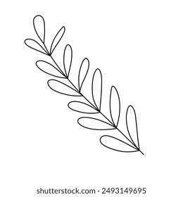 Hand drawn doodle leaf isolated on white background. Simple doodle style.