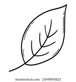 Dibujado a mano hoja de doodle aislado sobre un fondo blanco. Ilustración vectorial.
