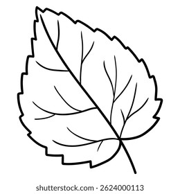 Hand drawn doodle leaf isolated on a white background. Vector illustration.