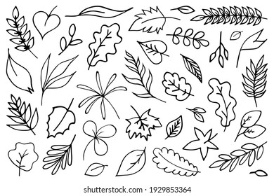Hand Drawn Doodle Leaves Clipart leaves silhouette. Vector illustrator.