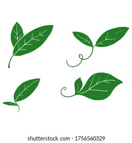 hand drawn doodle leaves illustration symbol isolated 