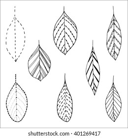Hand drawn doodle leaves. Ink illustration. Vector.
