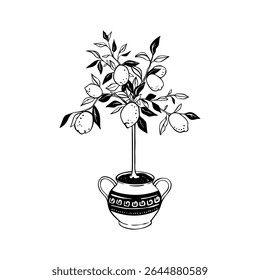 Hand drawn doodle lemon tree potted in mosaic greek vase with whimsical pattern. Indoor flower plant pot. Sketch linocut vintage vector illustration. Summer citrus fruit drawing. Mediterranean design