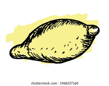 Hand drawn doodle lemon. Vector illustration for backgrounds, textile prints, menu, web and graphic