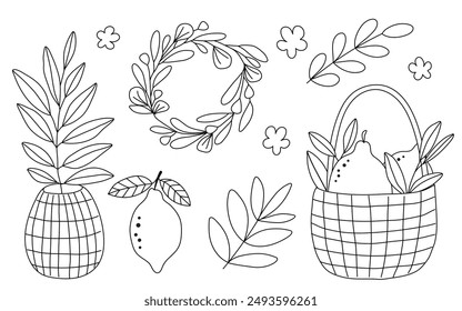 Hand drawn doodle lemons, wicker basket, flowers, vase, leaves, branch, wreath set isolated on white background. Vector illustration