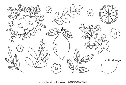 Hand drawn doodle lemons, wicker basket, flowers, vase, leaves, branch, wreath set isolated on white background. Vector illustration