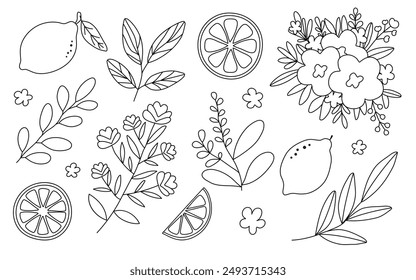 Hand drawn doodle lemons, wicker basket, flowers, vase, leaves, branch, wreath set isolated on white background. Vector illustration