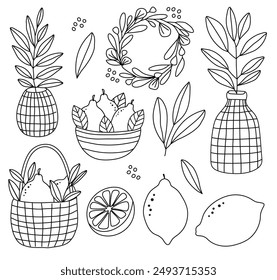 Hand drawn doodle lemons, wicker basket, flowers, vase, leaves, branch, wreath set isolated on white background. Vector illustration