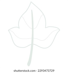 Hand Drawn Doodle Line Art Leaf 