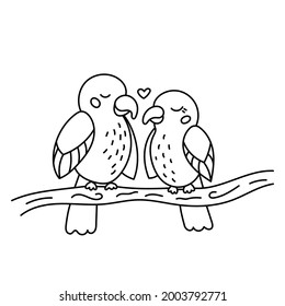 Hand drawn doodle lovebirds sitting on branch. Tropical exotic birds. Line art parrots. Outline black and white vector illustration.