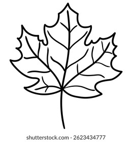 Handgezeichnetes Ahornblatt, einzeln auf weißem Hintergrund. Vektorgrafik.