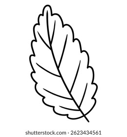 Handgezeichnetes Doodle-Minzblatt einzeln auf weißem Hintergrund. Vektorgrafik.