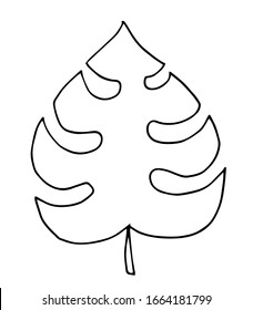 Hand drawn doodle monstera tropical leaf icon on white background. Vector illustration. Rainforest symbol collection Cartoon sketch element: greenery Philodendron Hawaiian Rain Forest Palm Leave