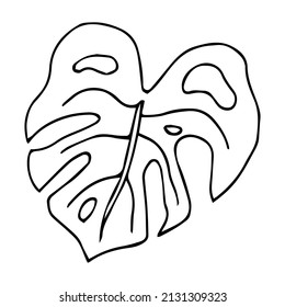 Hand drawn doodle monstera tropical leaf icon on white background. Vector illustration. Rainforest symbol collection Cartoon sketch element: greenery Philodendron Hawaiian Rain Forest Palm Leave
