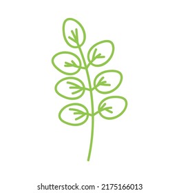 Hand drawn doodle monstera tropical leaf icon on white background Vector illustration. Rainforest symbol collection Cartoon sketch element