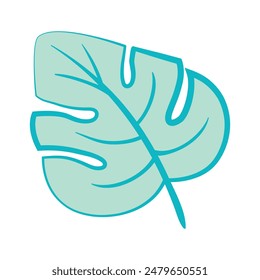 Hand drawn doodle monstera tropical leaf icon on white background.