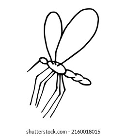 Hand Drawn Doodle Mosquito. Vector Insect Clipart. Outline.