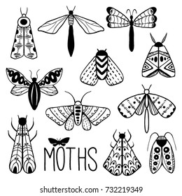 Hand drawn doodle moth vector set. Collection with beautiful butterflies. Black and white illustration. Coloring page