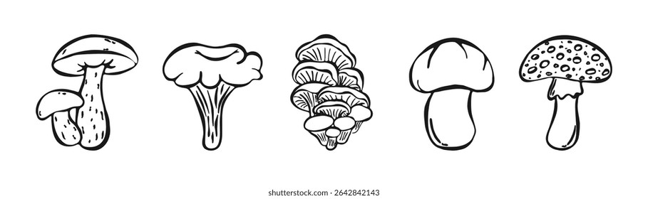 Mão desenhada Doodle Cogumelo conjunto isolado no fundo branco. Esboço Plantas De Floresta De Tinta, Vegetais. Livro de colorir para crianças. Rabiscos de outono. Desenhado à Mão, Champignon, Cogumelos Ostras, Chanterelles.