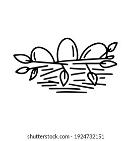 Hand drawn doodle  with nest, eggs, leaves isolated on white background. Vector outline illustration. Design for coloring book, greeting card, print.