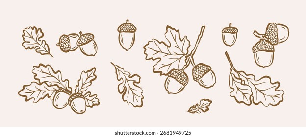 Ramas y bellotas de roble dibujadas a mano