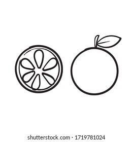 hand drawn doodle orange lime fruit illustration cartoon vector